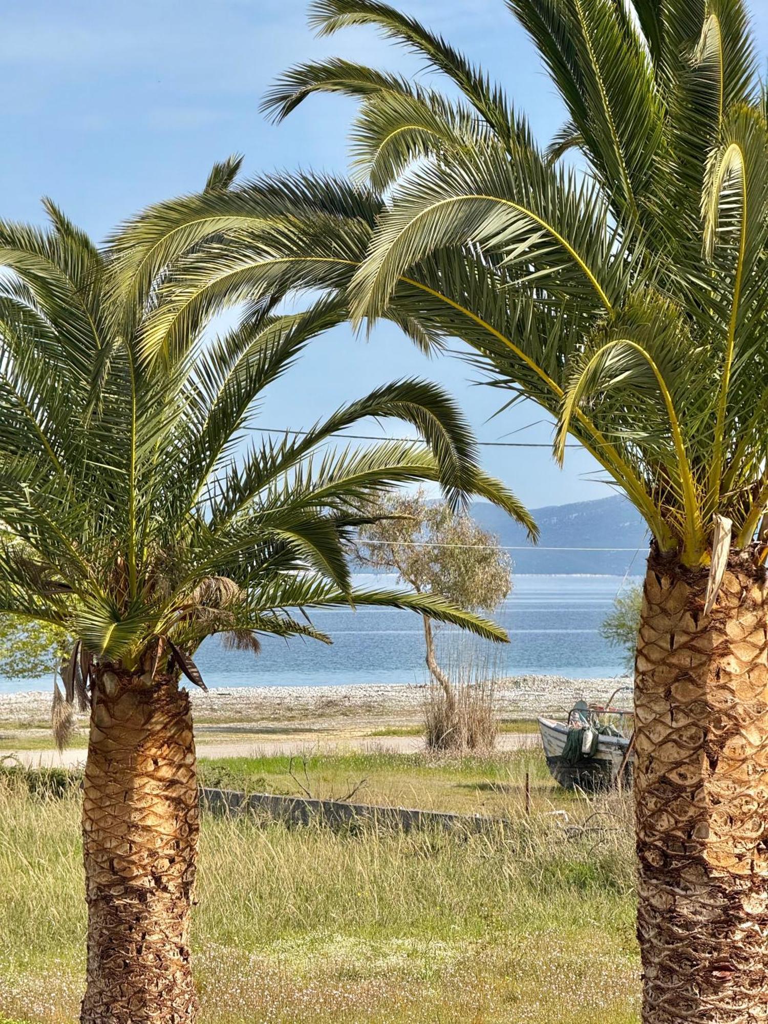 Apolonio Pefki Evia Aparthotel Buitenkant foto